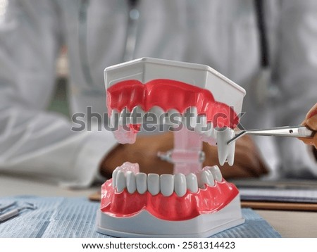 Dentist pulling tooth with forceps out of jaw model. Dental surgeon using instrument for teeth removal, extraction. Stomatology, oral health problems