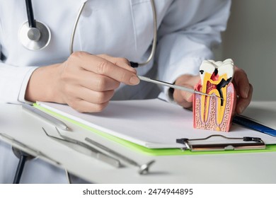 The dentist shows the disease and the formation of the tooth pulp. - Powered by Shutterstock