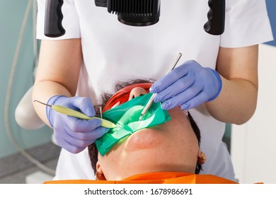 Dentist Therapist At Work, Tooth Restoration