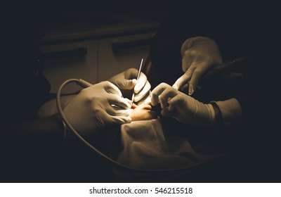 Dentist Working With The Male Patient In A Modern Dentistry Office.