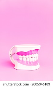 Dentistry Concept. Dental Care Tools. Dentists Use Plastic Toy White Model Of Human Teeth Without One Tooth Isolated On Pink, Gradient Blur Background. Vertical Picture Story Instagram With Copyspace.