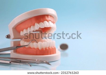 Dentist's tools and a dental model of teeth on a blue background close up 