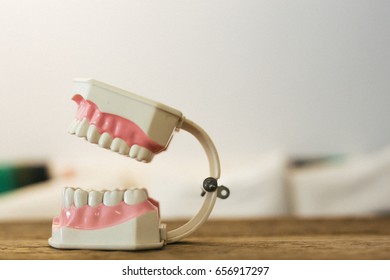 Denture Model Student Education Stock Photo 656917297 | Shutterstock