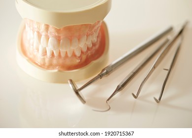 Denture Prosthesis And Dental Tools 