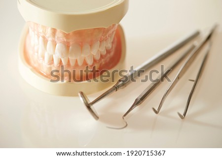 Denture prosthesis and dental tools 