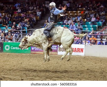 DENVER, COLORADO - JANUARY 13, 2017: Bull riding contest during the National Western Stock Show