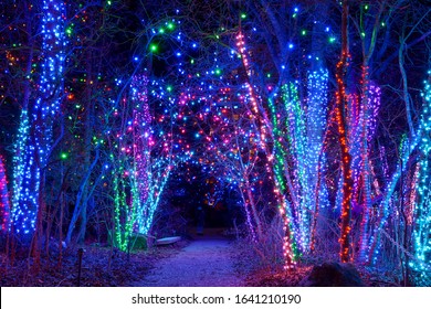 Denver, Colorado, USA - December 9, 2019: A Night View Of A Small Hiking Path Through A Grove Of Trees Lit By Colorful Lights At Denver Botanic Gardens During Its Holiday Blossoms Of Light Event.