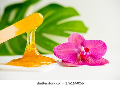 Depilation And Beauty Concept - Sugar Paste Or Wax Honey For Hair Removing Flows Down From Wooden Waxing Spatula Sticks On Flower Background