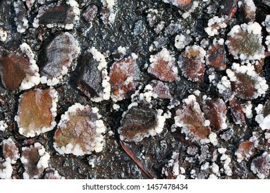 Deposits Ozocerite On Surface Soil Near Stock Photo 1457478434 ...