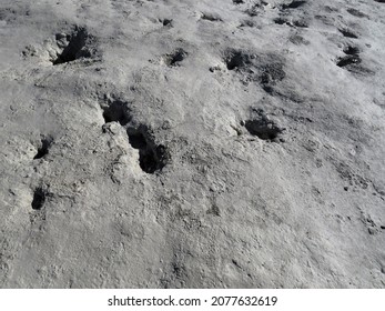 Deposits Of White Clay Of An Interesting Texture, Similar To The Lunar Surface On A Bright Sunny Autumn Day