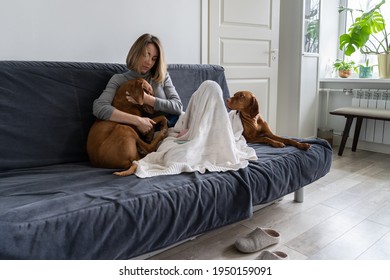 Depressed Lonely Woman Sitting With Two Dog At Home On Sofa, Cuddling And Hugging Her Sad Vyzsla Dog. Girl Sitting On Couch, Comforting Her Lovely Pet. Love Concept. 