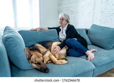 Depressed Senior Old Woman Crying On Couch With Pet Dog As Only Companion. Sad And Tired Widower Amid COVID-19 Pandemic. Coronavirus Death, Lockdown, Social Distancing And Mental Health.