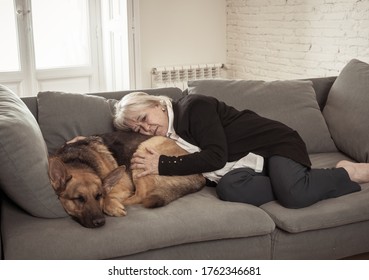 Depressed Senior Old Woman Crying On Couch With Pet Dog As Only Companion. Sad And Tired Widower Amid COVID-19 Pandemic. Coronavirus Death, Lockdown, Social Distancing And Mental Health.