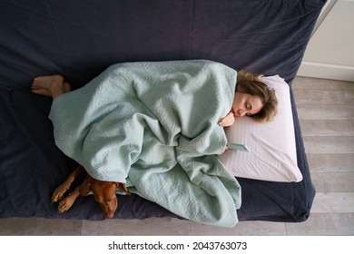 Depressed Woman Read Message From Ex-boyfriend Lying On Sofa Covered With Blanket Together With Dog. Anxious Female Of Middle Age Deleting Photos Of Ex Husband From Mobile Phone Crying On Couch Alone