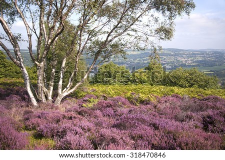 stanton moor