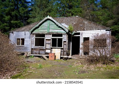 Derelict building on Inchconnachan island at Loch Lomond - Shutterstock ID 2158543541