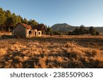 A derelict building in the pine plantations of Hogsback, South Africa.