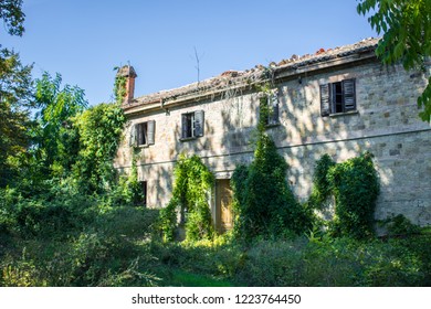 Derelict Empty House In The Woods