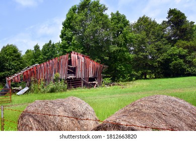 Derelict Red, Wooden Barn Stands In Ruins In Farm Field.  Rolls Of Hay Sit Besides Fence.