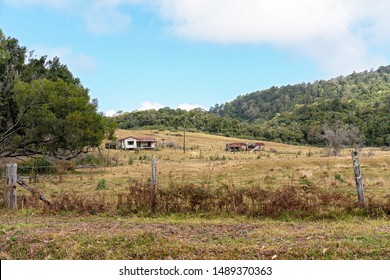 Derelict Ruins Of An Old House And Shed On An Australian Dairy Farm Gone Broke With Low Milk Prices And The Economic Downturn