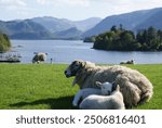 Derwent Water, The Lake District, Cumbria, England