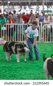 DES MOINES, IA /USA - AUGUST 10: Unidentified Teen Exercising And Showing Swine At Iowa State Fair On August 10, 2014 In Des Moines, Iowa, USA.