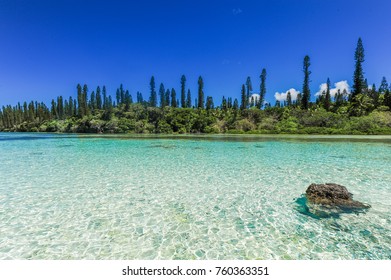 Île Des Pins (Isle Of Pines)