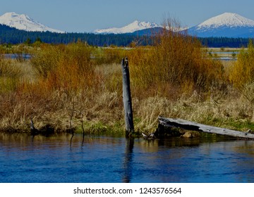 Deschutes National Forest                 