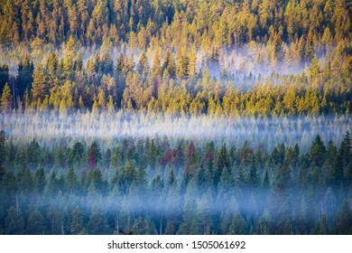 Deschutes National Forest Near Bend, Oregon