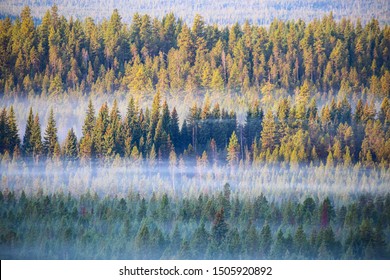 Deschutes National Forest Near Bend, Oregon