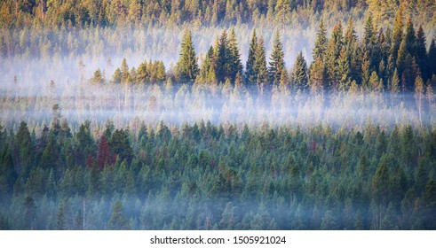 Deschutes National Forest Near Bend, Oregon