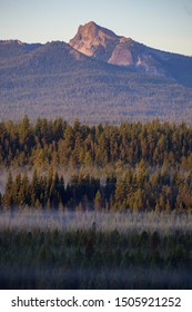 Deschutes National Forest Near Bend, Oregon