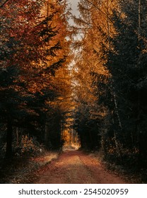Description:
A forest path surrounded by trees on both sides, bathed in vibrant orange and red hues. The autumn foliage creates a fiery, warm atmosphere, enveloping the path in rich, seasonal colors.