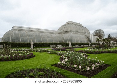 
Description:
The iconic Palm House at Kew Gardens, a Victorian glass masterpiece, shelters lush tropical plants and exotic palms under a soaring, sunlit canopy. - Powered by Shutterstock