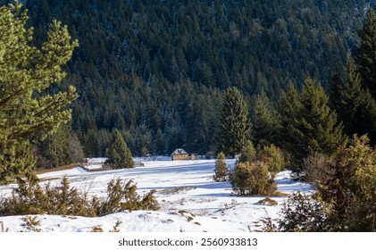 Description: A peaceful winter landscape featuring a snow-covered field surrounded by dense evergreen forest, with a small rustic cabin in the distance under a clear sky. - Powered by Shutterstock