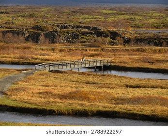 Description
A scenic, elevated shot capturing a beautiful autumn landscape within Þingvellir (Thingvellir) National Park, Iceland. In the center, a simple wooden footbridge spans a calm stretch of the Öxará River (or one of its structural glacial fissures), with two tourists—one wearing a prominent red jacket—standing on it to admire the view.

The surrounding valley floor is carpeted with low tundra grass and shrubs glowing in rich golden-brown, amber, and orange seasonal tones. In the background, low, moss-covered basalt cliffs mark the rugged volcanic rifts of the Mid-Atlantic Ridge, where the North American and Eurasian tectonic plates are continuously drifting apart. The soft, natural daylight enhances the rich textures of the moss, rock, and vegetation, capturing a peaceful moment in this historically and geologically significant UNESCO World Heritage Site.