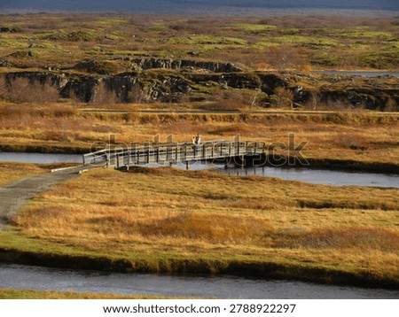 Description
A scenic, elevated shot capturing a beautiful autumn landscape within Þingvellir (Thingvellir) National Park, Iceland. In the center, a simple wooden footbridge spans a calm stretch of the Öxará River (or one of its structural glacial fissures), with two tourists—one wearing a prominent red jacket—standing on it to admire the view.

The surrounding valley floor is carpeted with low tundra grass and shrubs glowing in rich golden-brown, amber, and orange seasonal tones. In the background, low, moss-covered basalt cliffs mark the rugged volcanic rifts of the Mid-Atlantic Ridge, where the North American and Eurasian tectonic plates are continuously drifting apart. The soft, natural daylight enhances the rich textures of the moss, rock, and vegetation, capturing a peaceful moment in this historically and geologically significant UNESCO World Heritage Site.