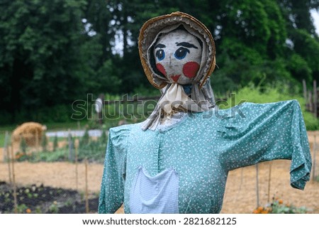 Description should be general, without details, no more than one sentence. A decorative cloth scarecrow stands as a garden guardian in a rural vegetable patch.