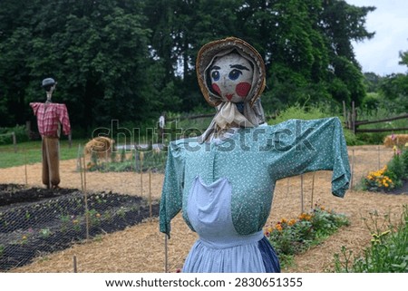 Description should be general, without details, no more than one sentence. Two homemade scarecrows stand in a rural vegetable garden surrounded by plants and mulch.