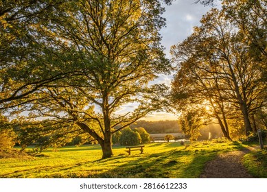 Description:
A tranquil countryside path winds through majestic oak trees glowing in warm golden evening light. Sunbeams stream through the autumn canopy, illuminating a wooden bench overlooking a peaceful meadow and lake beyond. This atmospheric landscape evokes themes of relaxation, mindfulness, countryside walks, conservation and the beauty of nature during the golden hour.
