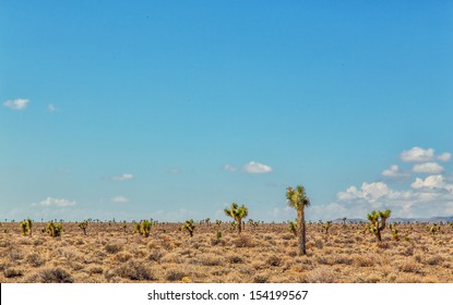 Desert