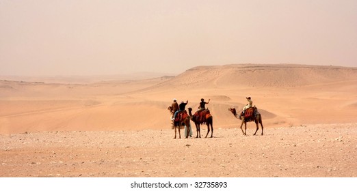 In the desert