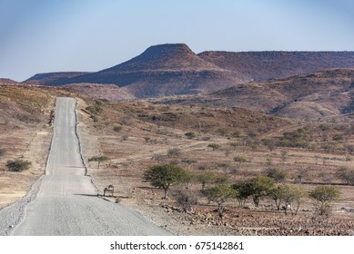 Desert