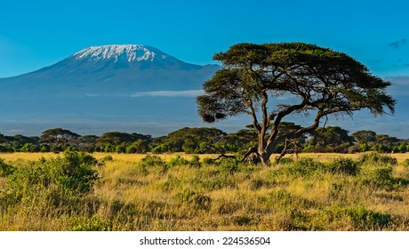 202,063 African Deserts Images, Stock Photos & Vectors | Shutterstock