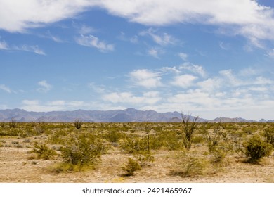 Desert in Arizona with green bushes and cacti on a sunny day with blue sky and white clouds. Nature near Phoenix, Arizona, USA - Powered by Shutterstock