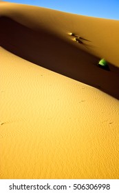 desert background