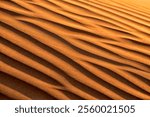 Desert Background. Sand dune texture. Oman, Wahiba Desert
