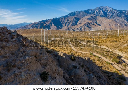 Desert bighorn sheep looking out over wind farm in Palm Springs