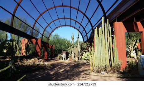 Desert Botanical Garden Phoenix Arizona - Shutterstock ID 2147212733