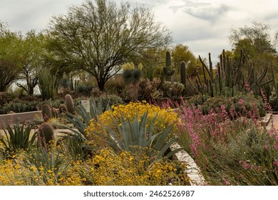 Desert Botanical Garden in Phoenix, Arizona. - Powered by Shutterstock